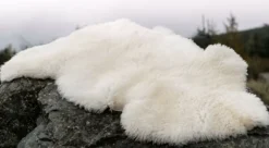 Online Sweater Shop Sheepskin Rug Ivory